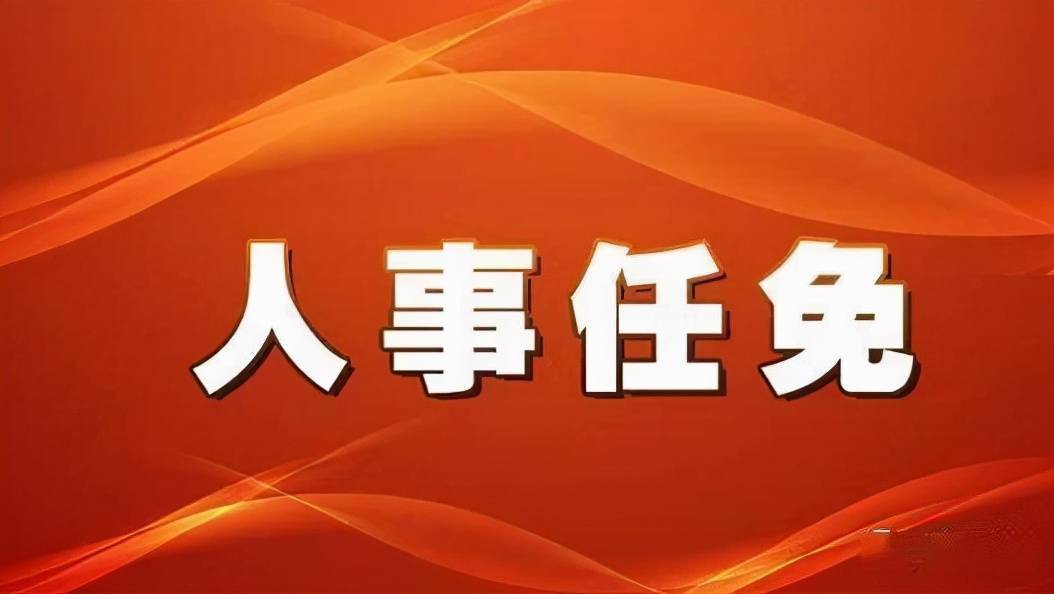 全球领导层最新任免变动深度解析