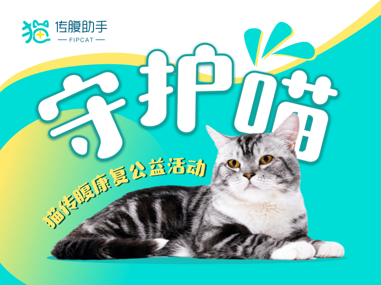 猫咪社区最新版，猫咪爱好者的温馨家园