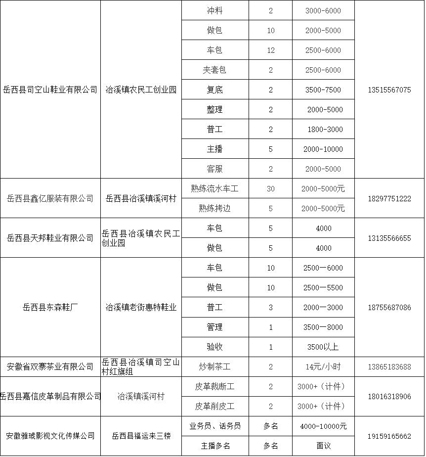 岳西县招聘网最新招聘动态深度解析与解读