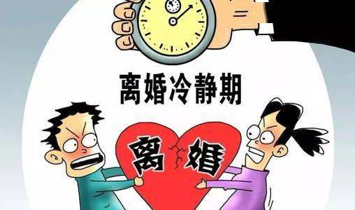 最新离婚政策，重塑家庭和谐与个体自由的平衡点