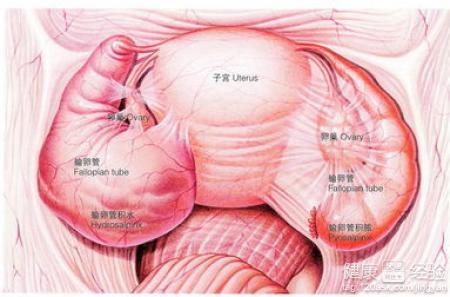 子宫腺肌症最新疗法研究，创新治疗方法揭秘