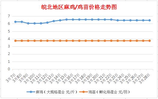 皖北麻鸡价格行情最新分析