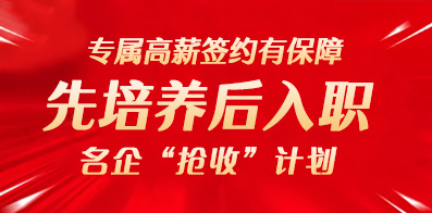 成都招聘网最新招聘动态深度解析与解读