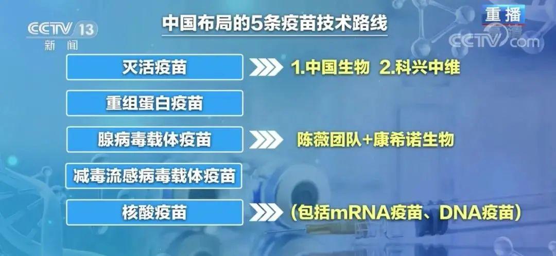 胃病疫苗研发最新进展，突破与创新引领未来治疗之路