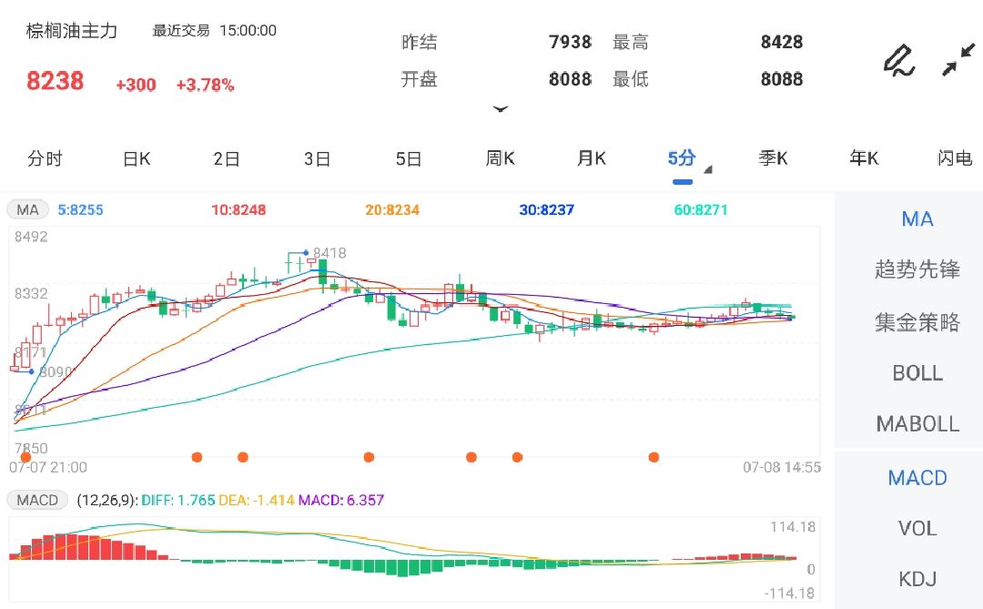 棕榈期货最新动态，市场走势、影响因素与未来展望