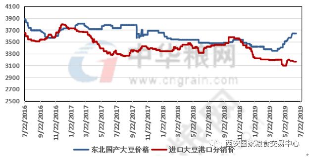 大豆行情最新价格走势解析