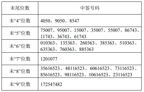 最新新股中签号揭晓与解读