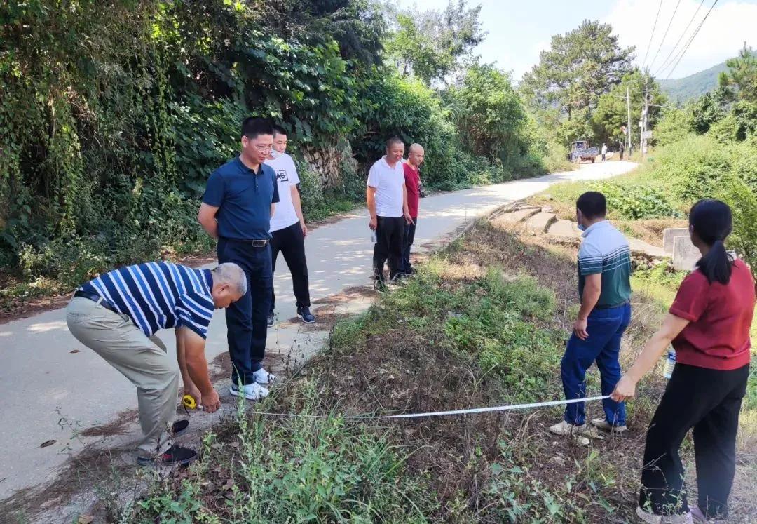 大新县公路最新规划图揭晓，描绘未来交通宏伟蓝图