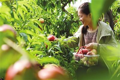 承德卧龙山庄最新动态更新