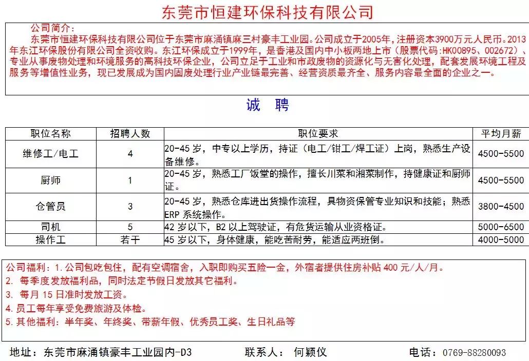 东莞麻涌最新招聘信息总览