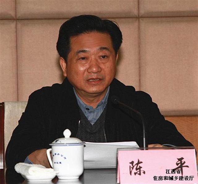 武隆副县长陈平，最新动态及成就概览