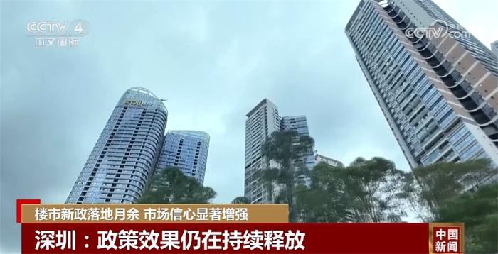 辛集楼市新政解析及其市场影响概览