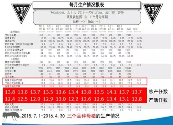 河南恒野农牧创新发展步伐坚定，未来展望引人瞩目