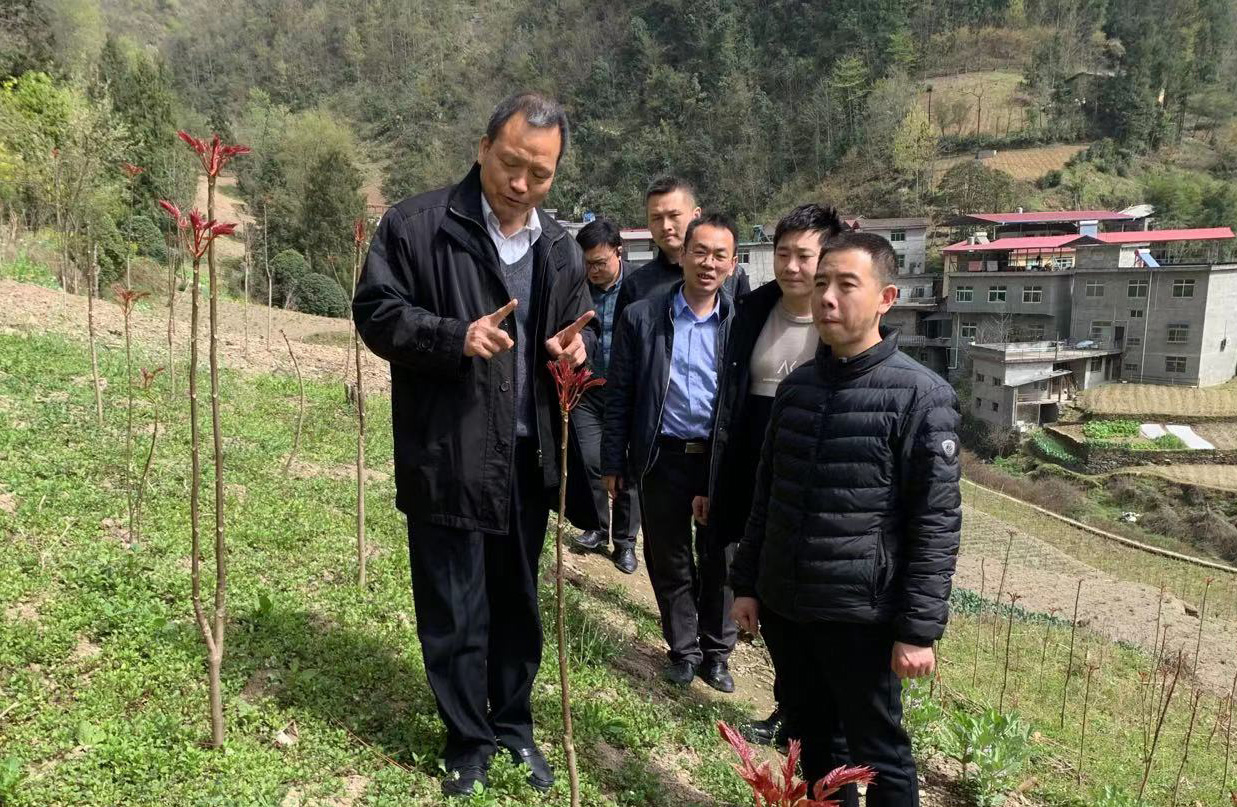 紫阳县陈荣根的最新动态