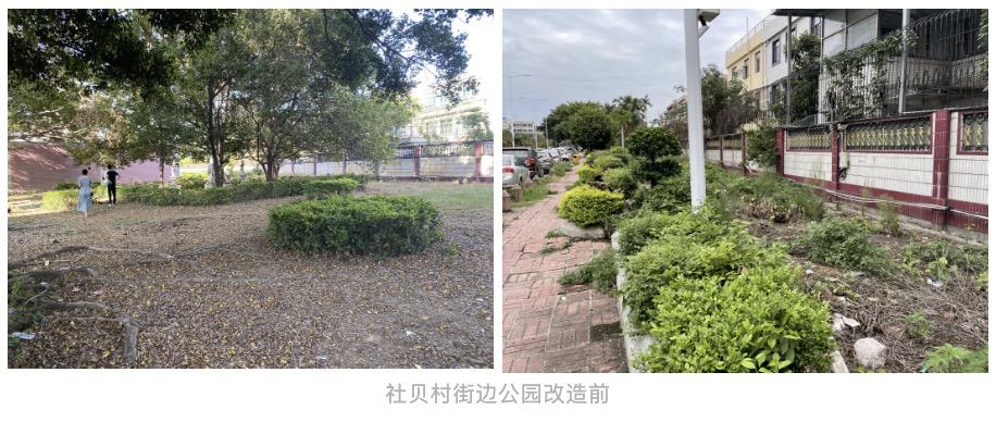 东莞黄江社贝最新招聘动态及其区域就业市场影响分析