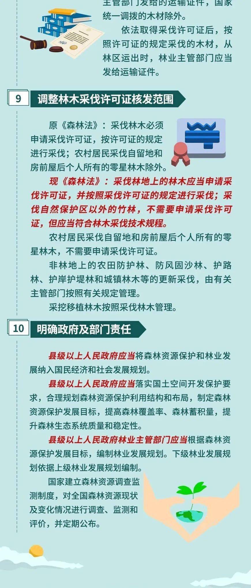 最新森林法实施及其深远影响