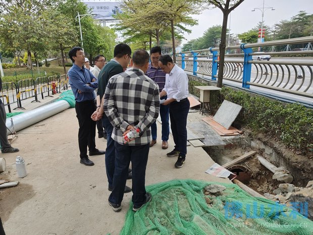 霞山区水利局推动水利建设助力地方繁荣的最新动态