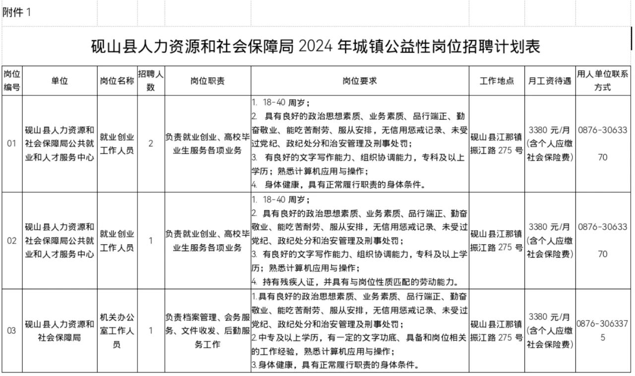 文山县人力资源和社会保障局未来发展规划概览