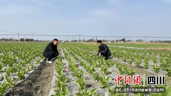 什邡市水利局推动水利建设高质量发展新动态