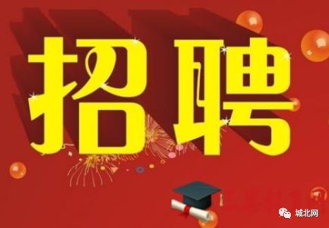 石家庄市最新招聘信息全面解析