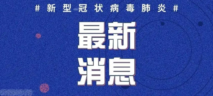 全球新冠疫情挑战，最新动态与应对策略