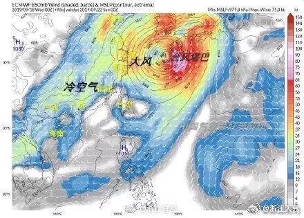 台风最新动态，如何应对台风天气的关键信息解析