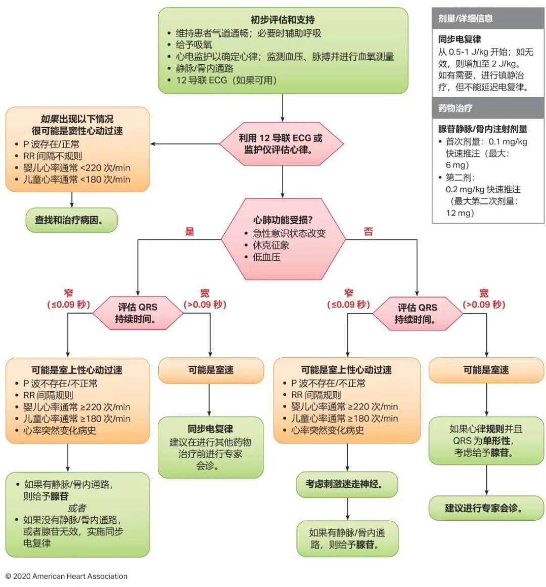 心肺复苏，最新实践指南与操作技巧全解析