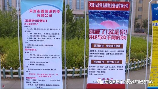 青白江区人力资源和社会保障局最新招聘概览