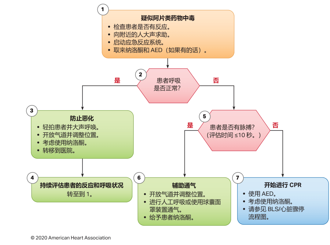 最新急救指南，掌握关键技能，关键时刻拯救生命