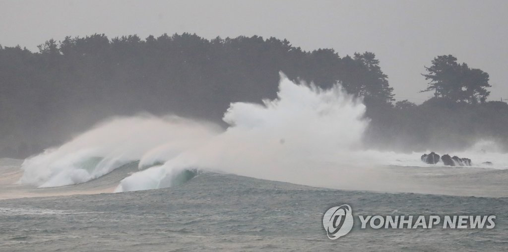 韩国济州岛台风最新动态与影响概述