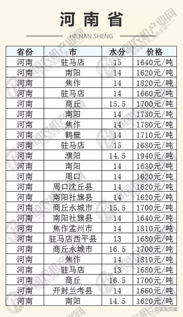 河南玉米最新价格动态解析