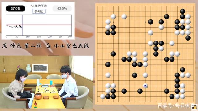 全球围棋赛事动态与发展趋势深度解析